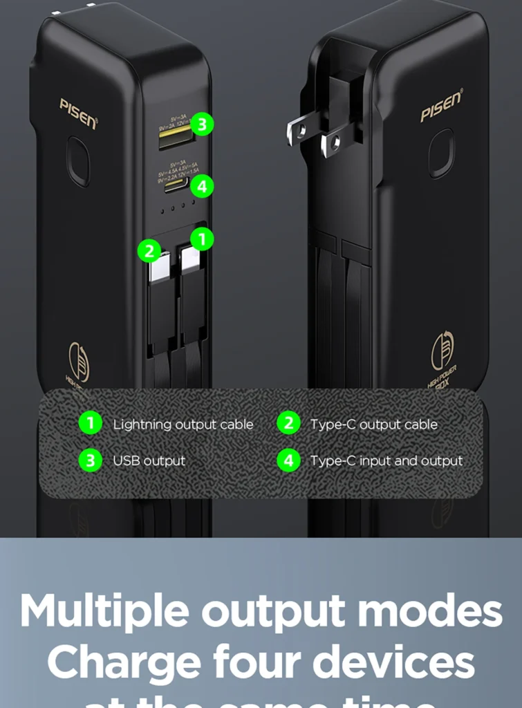 PISEN QUICK Dual Built-in Cable 22 05