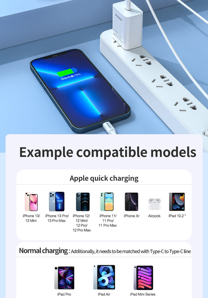 TS C160A PISEN QUICK PD30W Single-Port Fast Charging Charger (Single Voltage) Set English 04