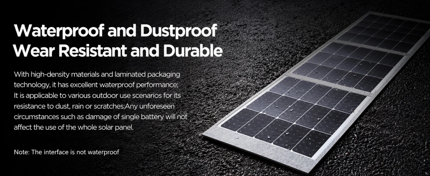 PISEN TP-SE02 solar panel - solar panel surface and weather feature section